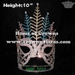 10in Crystal Mask Pageant Crowns With Colored Feather